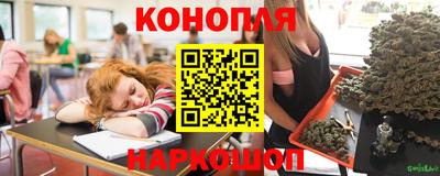 индика Анапа