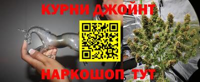 индика Анапа