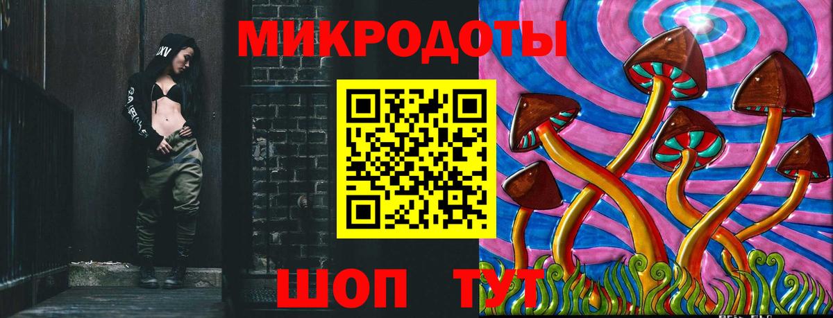 Галлюциногенные грибы Psilocybe  Вход с VPN  Большой Камень 